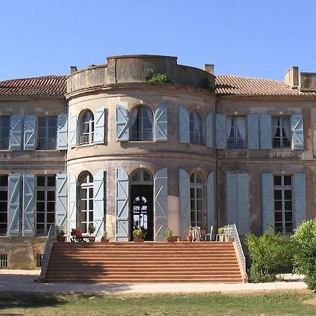 Chateau De Clermont-Saves Bed & Breakfast L'Isle-Jourdain  Exterior photo